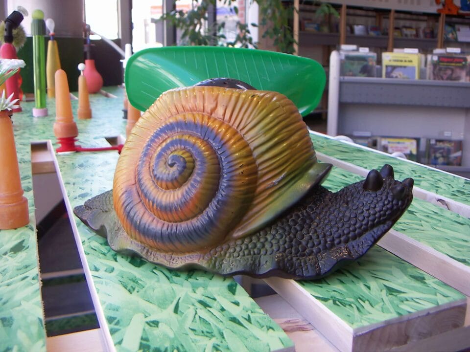 1 Friendly snail, 2006