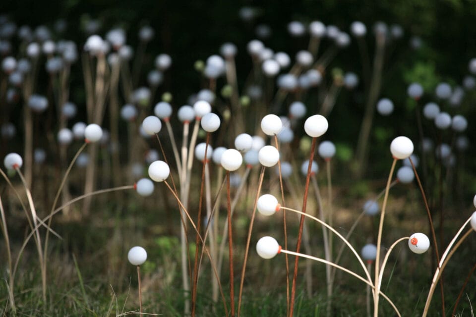 Installation, Les vagabondes, 2006. ©T.B.