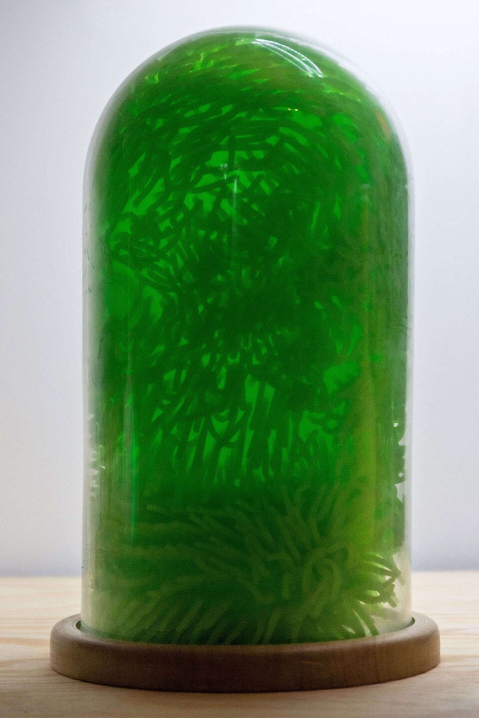 Seaweed, 2022. Bois, caoutchouc, plastique, verre. ©T.B.